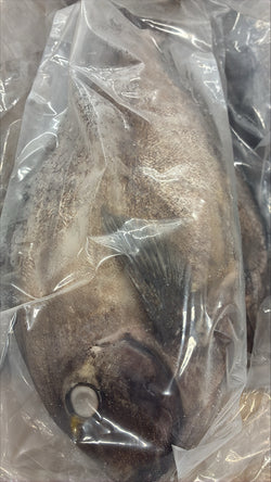 Doctor Fish,1-2lb, WGS, Frozen, IQF, IWP, Vietnam,  NW, 10lb