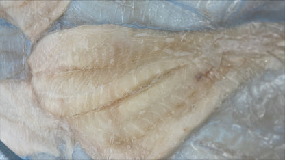 Roughy (Orange), 8 oz up, Fillets, SBL, Fresh, NW, 10 kg (22.05 lb)