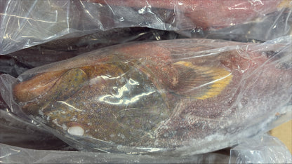 Grouper (Strawberry), 1-2, WGGS, Frozen, IQF, IWP, Vietnam, NW, 10lb