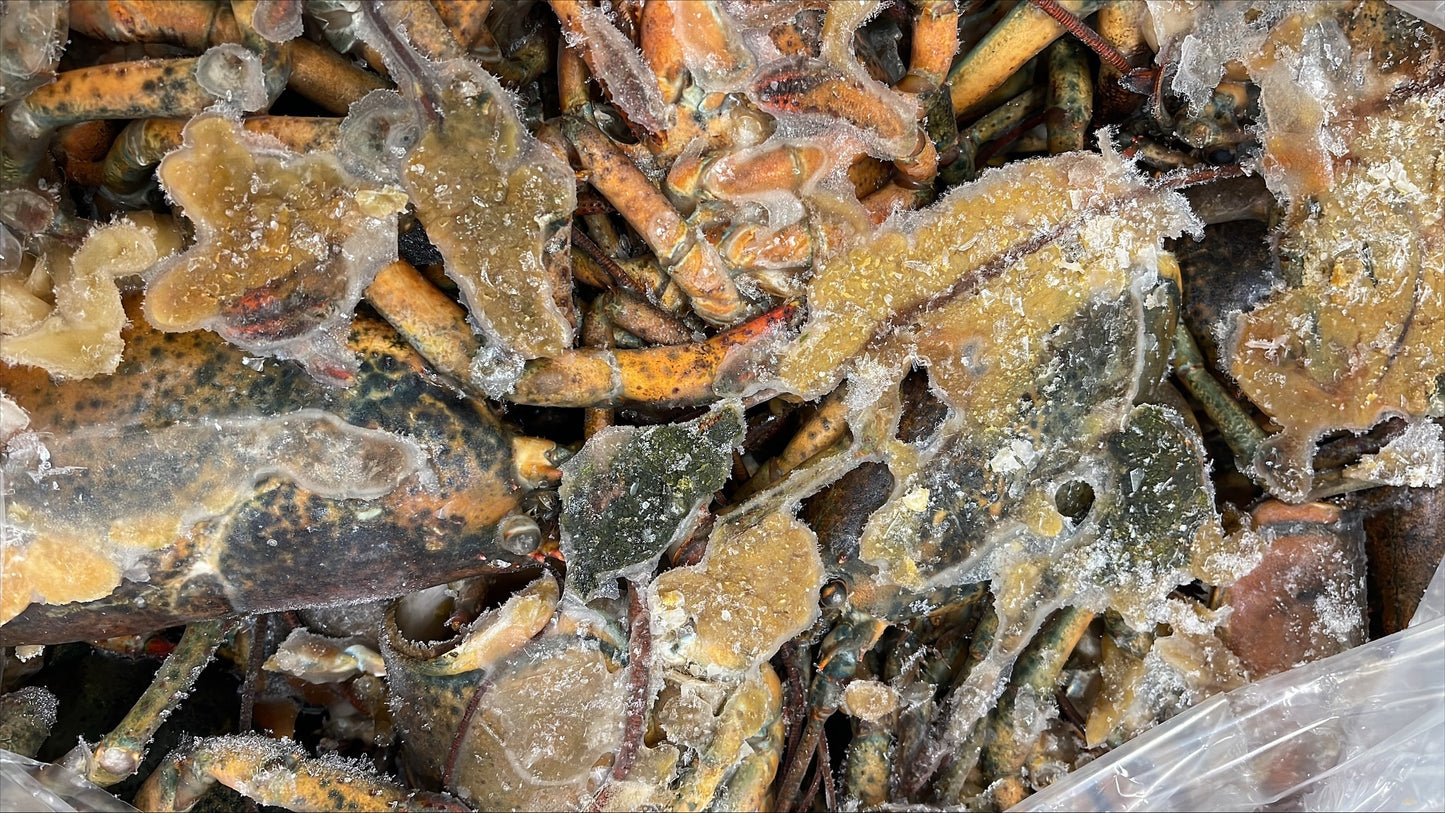 Lobster, Bodies, Cooked, Frozen, 25 lb