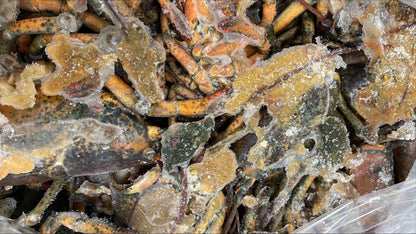 Lobster, Bodies, Cooked, Frozen, 25 lb
