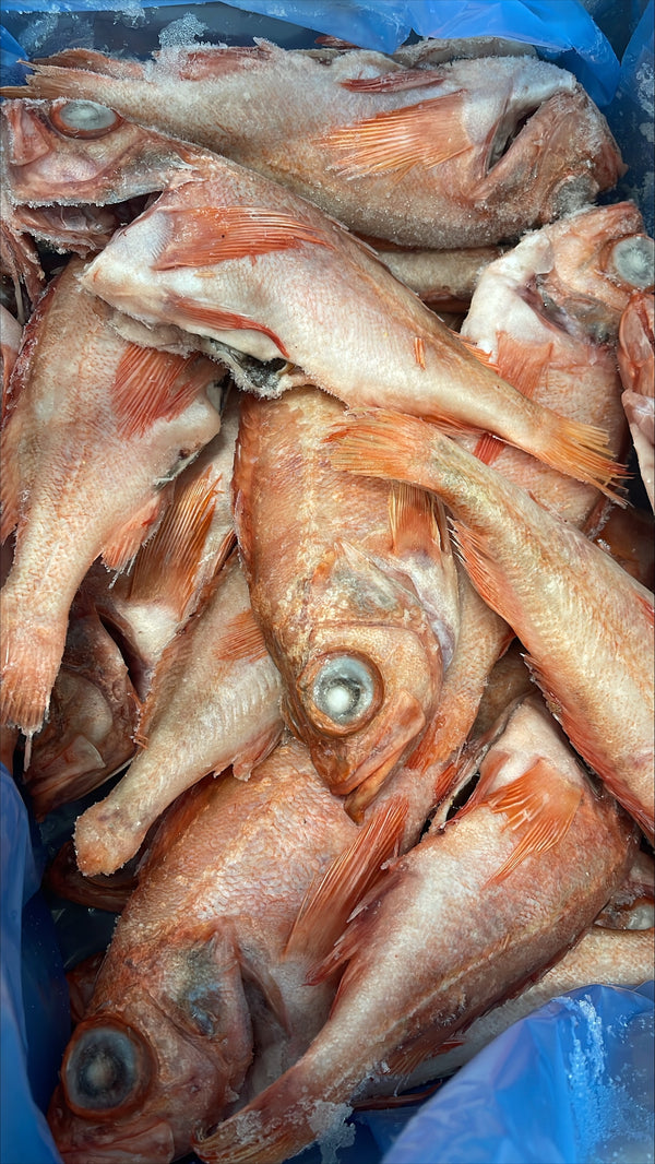 Red Fish 1/4-1/2lb, WGGS, Frozen, Canada, NW, 10lb