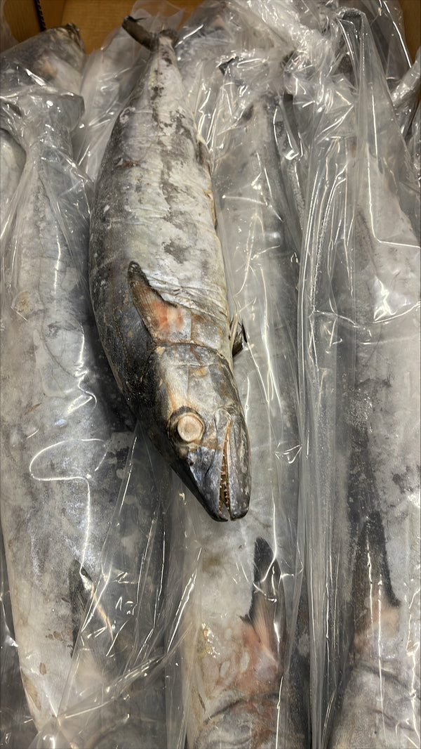 King Fish, 3-5 lb/pc, Whole, Gutted, Frozen, Venezuela, NW, 60 lb