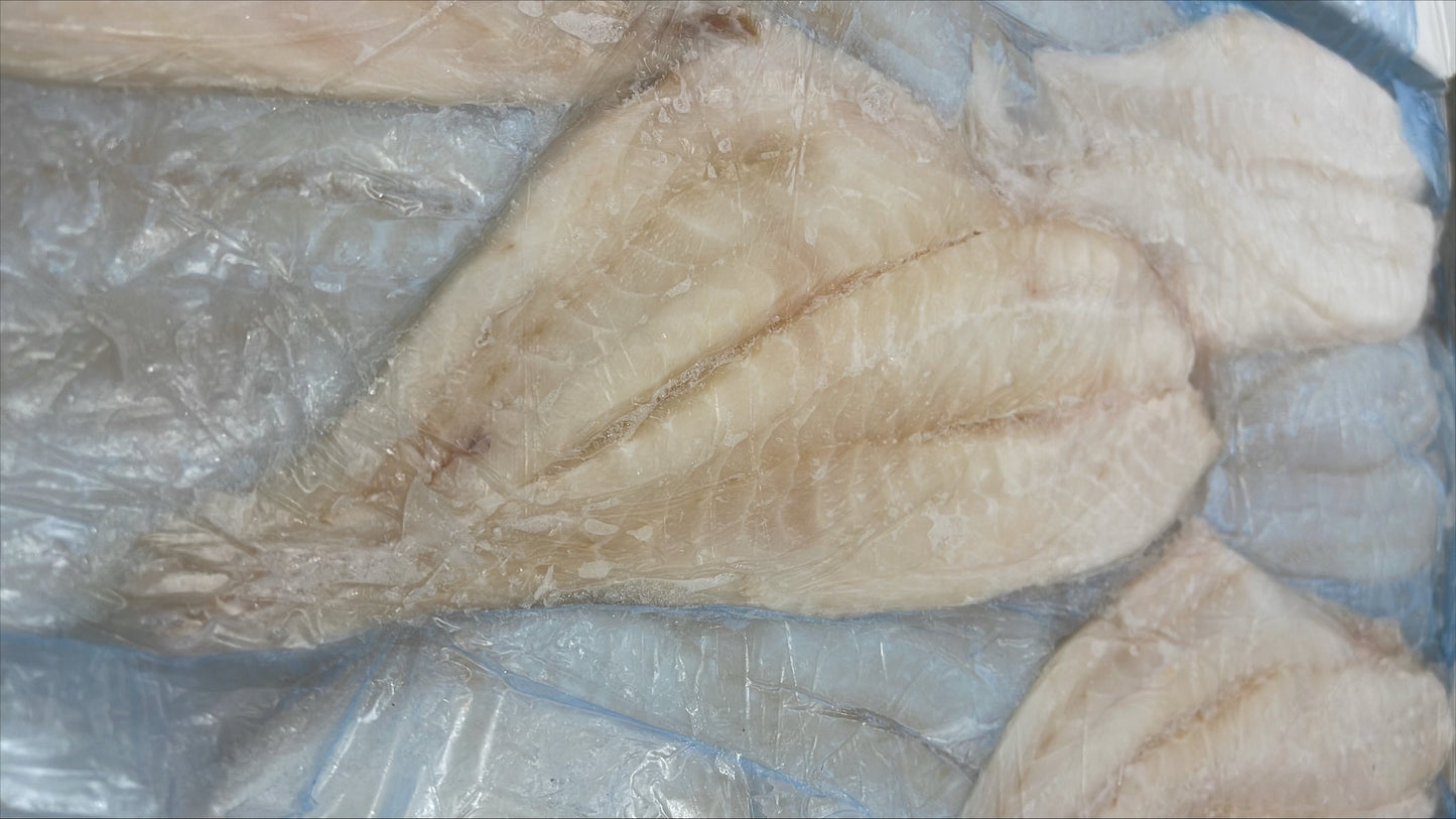 Roughy (Orange), 8 oz up, Fillets, SBL, Fresh, NW, 10 kg (22.05 lb)