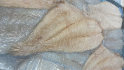 Roughy (Orange), 8 oz up, Fillets, SBL, Fresh, NW, 10 kg (22.05 lb)