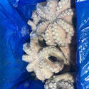 Octopus, (Vulgaris), T4 (1.5-2 kg), Whole, Frozen, NW, 12 kg (26.46 lb)