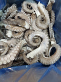 Octopus, (Vulgaris), T3 (2-3 kg), Legs, Frozen, NW, 6 kg (13.23 lb)