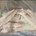 Halibut, (California), 8-16 oz, Fletches, Skinless, Boneless, Frozen, NW, 20 lb