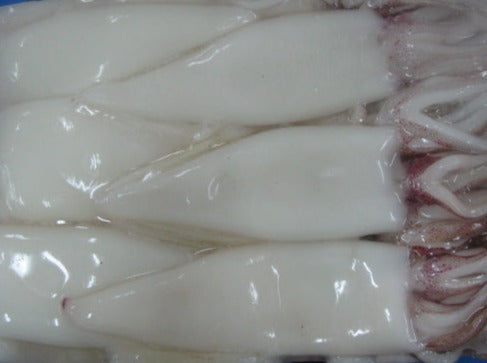 Squid, (Loligo For.), 5-8, 6 Tubes & Tentacles, 4 Cuts, Frozen, NW, 21.75 lb, 24 x 14.5 oz