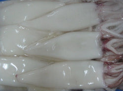 Calmar, (Loligo For.), 5-8, 6 tubes et tentacules, 4 coupes, congelé, NW, 21,75 lb, 24 x 14,5 oz