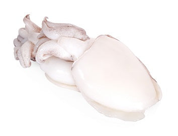 Squid, (Loligo For.), U5, Whole, Cleaned, Frozen, NW, 30 lb, 6 x 5 lb