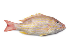 Snapper (Lane), 1/4-1/2 lb, Whole, Gutted, Frozen, NW, 55 lb