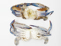 Crab (Blue), Large, Whole, Frozen, 6.8 kg (15 lb), 15 x 1 lb