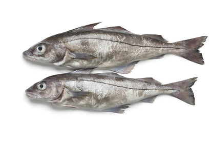 Haddock, 4 oz, Fillets, Skinless, Boneless, J-Cut, Frozen, NW, 10 lb (Copy)