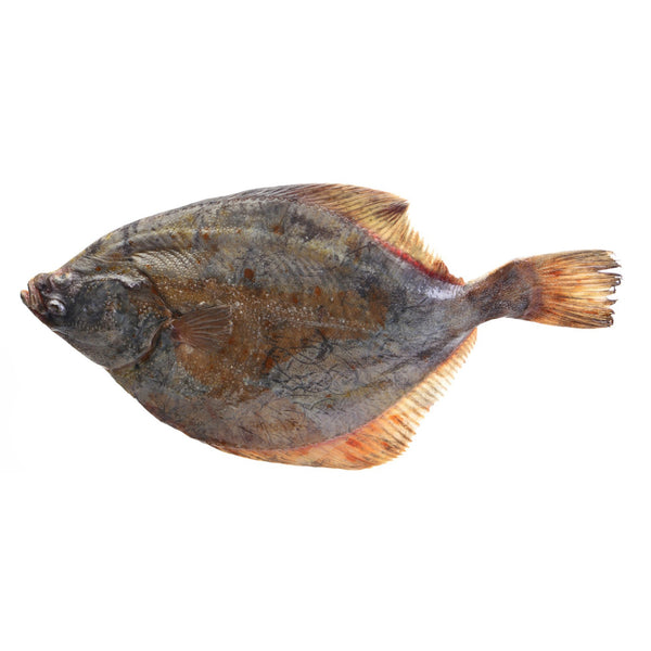 Halibut, (Pacific), 1-3 lb, Fletches, Deep Skinned, Frozen, NW, 25 lb