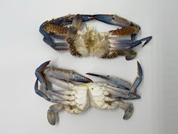 Crab (Blue), Small, Whole, Frozen, 6.8 kg (15 lb), 15 x 1 lb