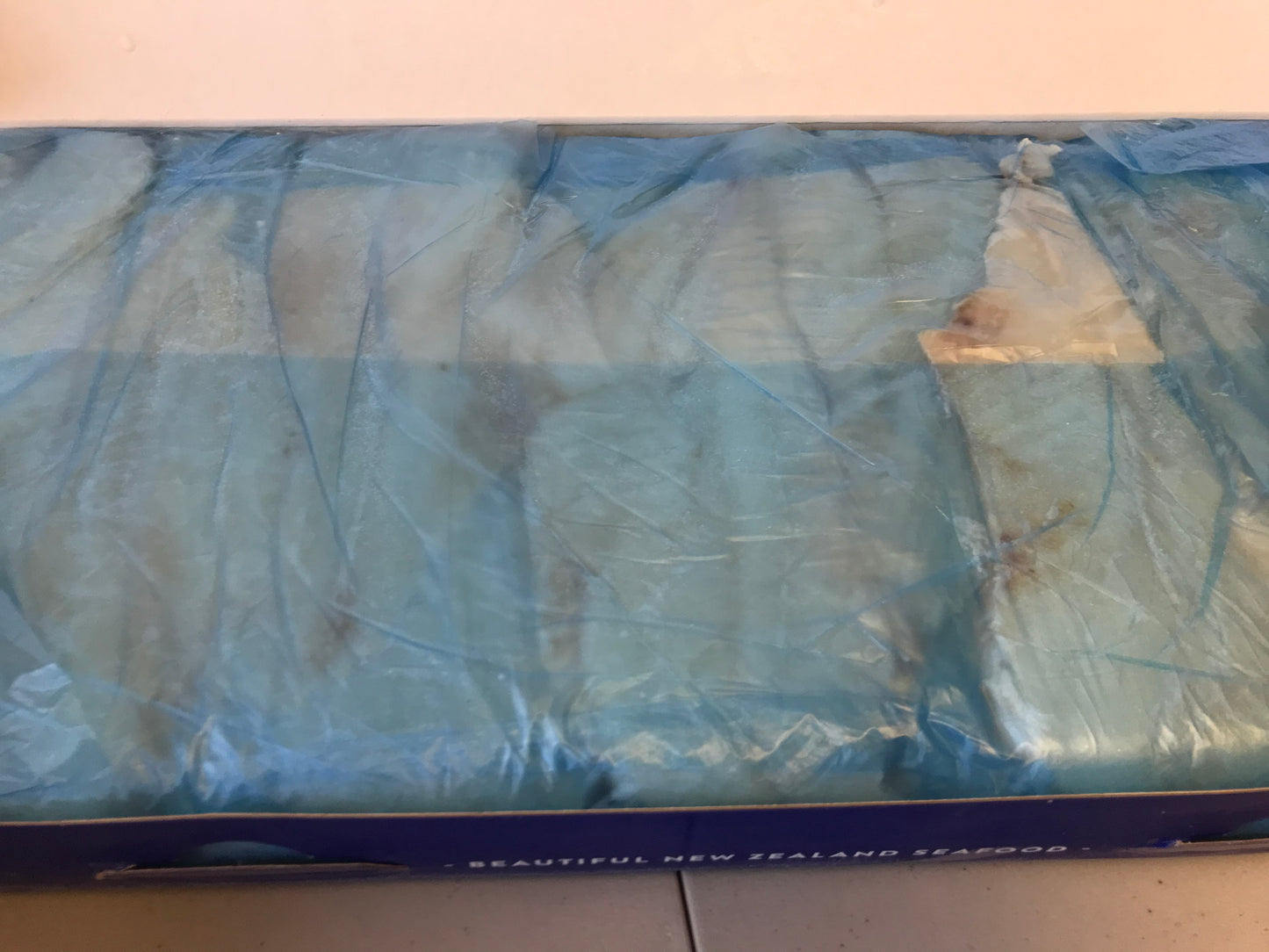 Roughy (Orange), 8 oz up, Fillets, SBL, Fresh, NW, 10 kg (22.05 lb)