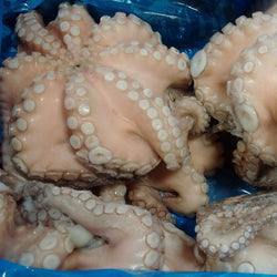 Octopus, (Vulgaris), T8 (Under 0.8 kg), Whole, Frozen, NW, 12 kg