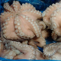 Octopus, (Vulgaris), T4 (1.5-2 kg), Whole, Frozen, NW, 12 kg (26.46 lb)