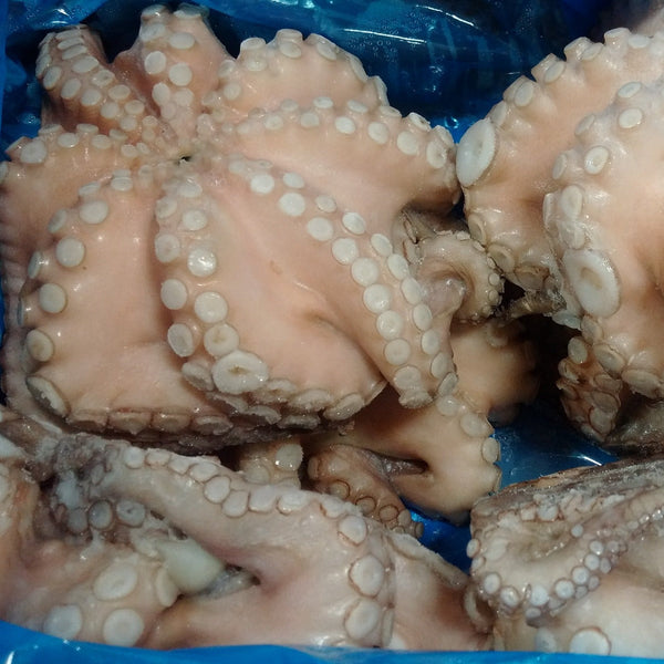 Octopus, (Vulgaris), T5 (1-1.5 kg), Whole, Frozen, NW, 12 kg (26.46 lb)