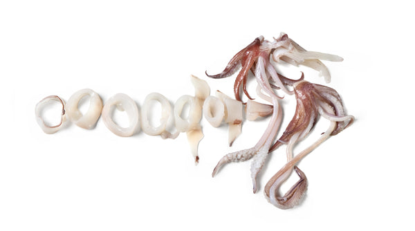 Squid, (Loligo Spp), Baby, Whole Round, Frozen, NW, 12 kg (26.46 lb), 12 x 1 kg