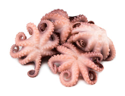 Octopus, (Vulgaris, Flower), T6 (0.8-1.2 kg), Whole, Frozen, NW, 12 kg (26.46 lb)