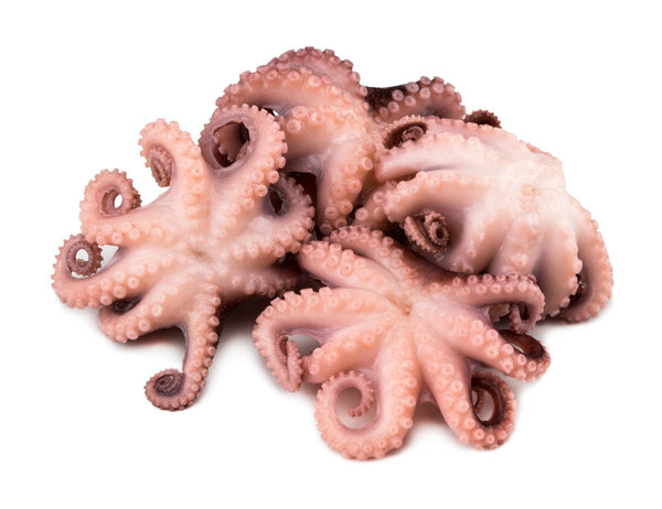 Octopus, (Vulgaris, Flower), T8 (Under 0.8 kg), Whole, Frozen, NW, 12 kg (26.46 lb)
