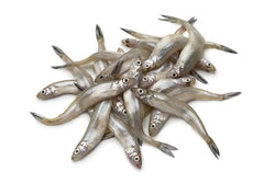 Lake Smelts (Silverside), Whole Round, Frozen, Wild caught, IQF, NW, 5 kg