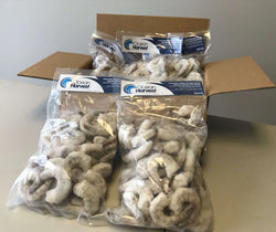 Crevettes, (blanches), 31-40, EZP, congelées, NW, 20 lb, 10 x 2 lb
