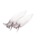 Squid, (Loligo Gahi), 9-12 cm, Tubes & Tentacles, Frozen, NW, 12 kg, 12 x 1 kg