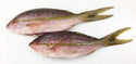 Vivaneau (queue jaune), 1/4-1/2 lb, entier, éviscéré, congelé, NW, 55 lb