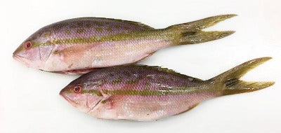 Snapper (Yellow Tail), 1/4-1/2 lb, GGS, Frozen, NW, 10 lb