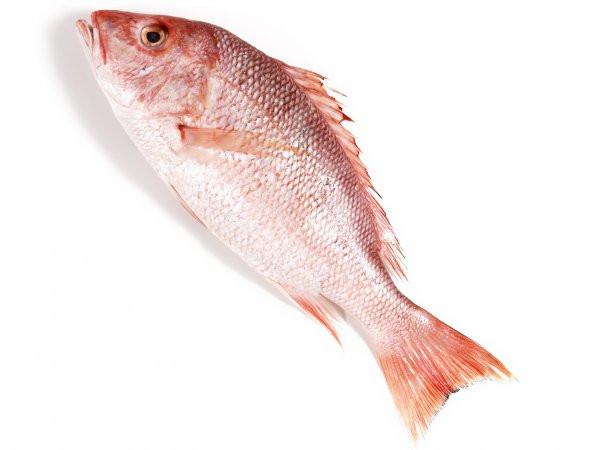 Snapper (Red), 1/2-3/4 lb, WGGS, Frozen, NW, 10 lb